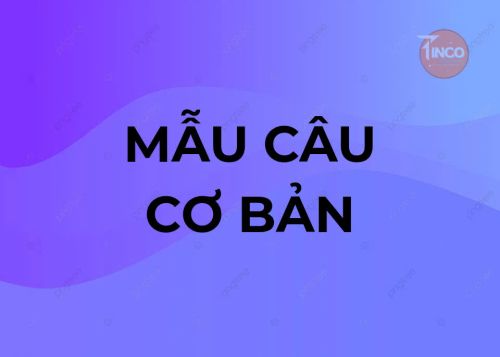 BÀI 8: MỘT SỐ MẪU CÂU CƠ BẢN