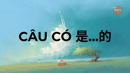  BÀI 10: CÂU CÓ 是…的